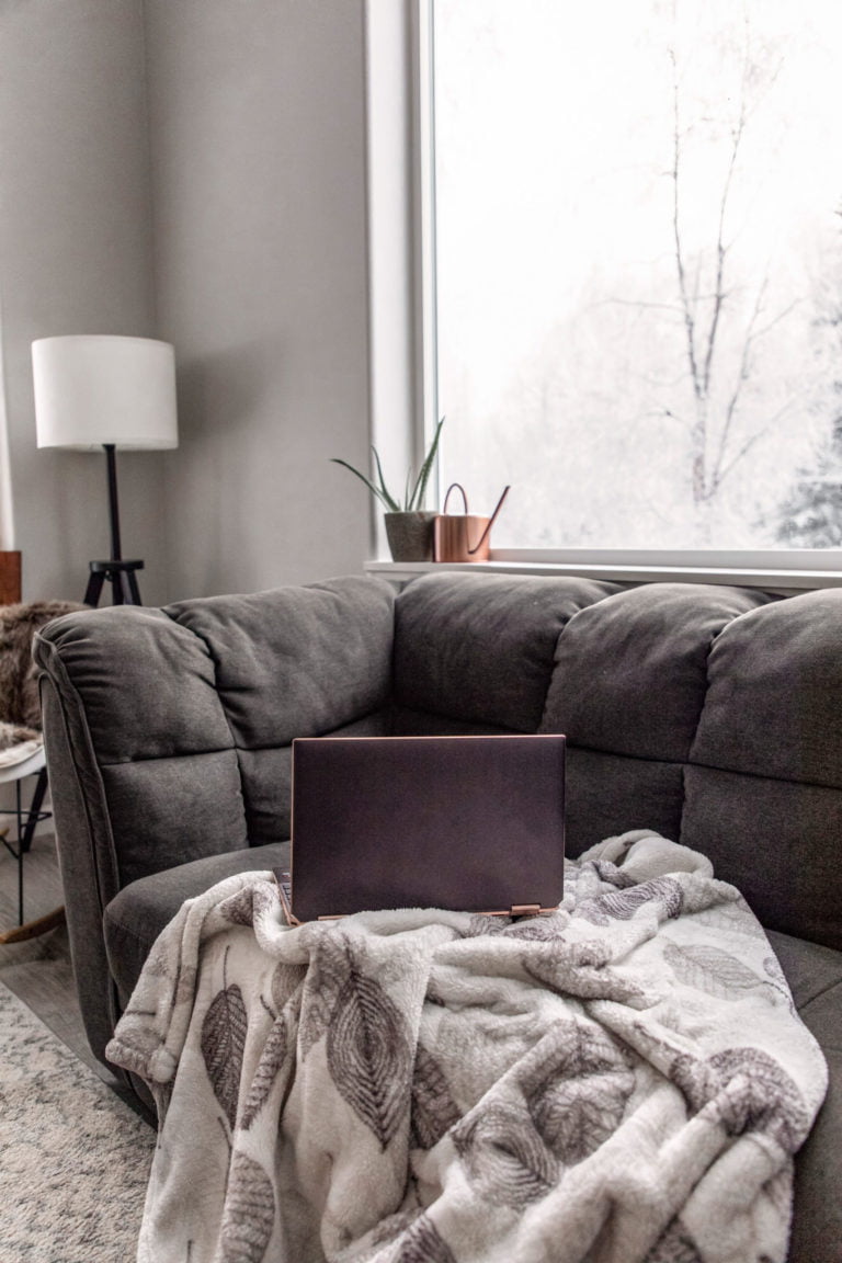 a couch with a pillow and a plant on it