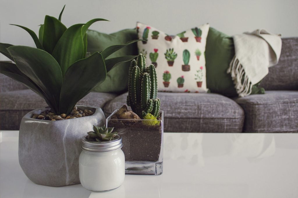 a table with a vase and a plant on it