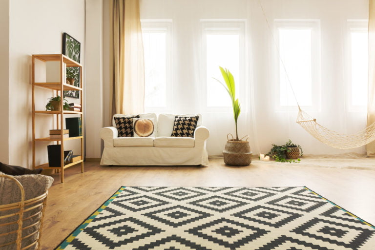 Modern home interior with hammock