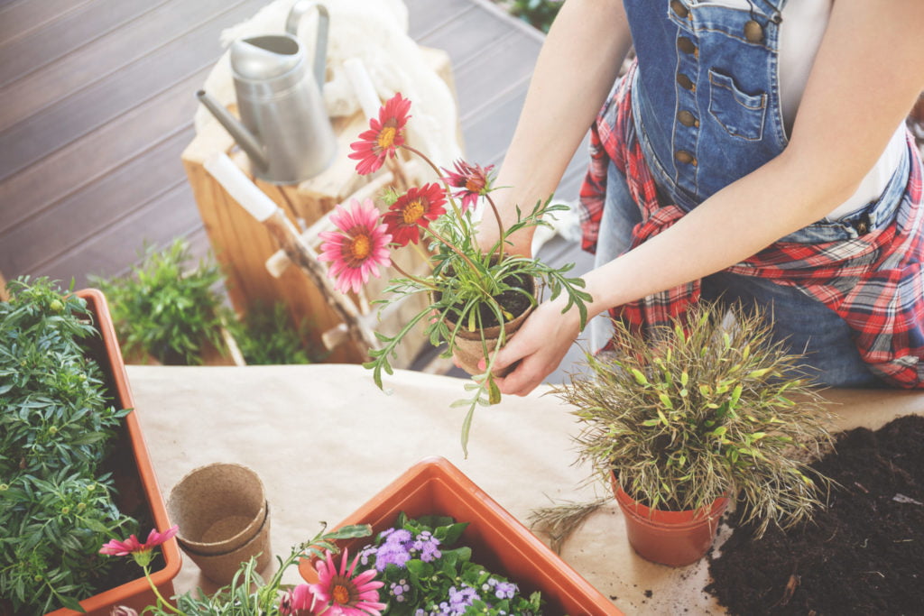 Woman during gardening work